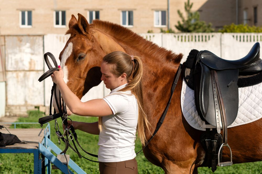 Equestrian adjusting bridle on horse