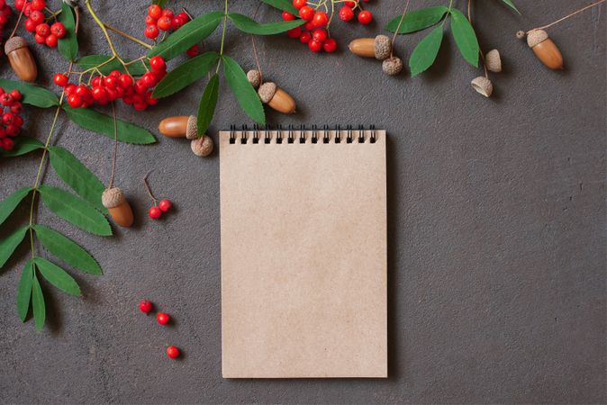 Hazelnut and red berries on dark background with notebook with copy space