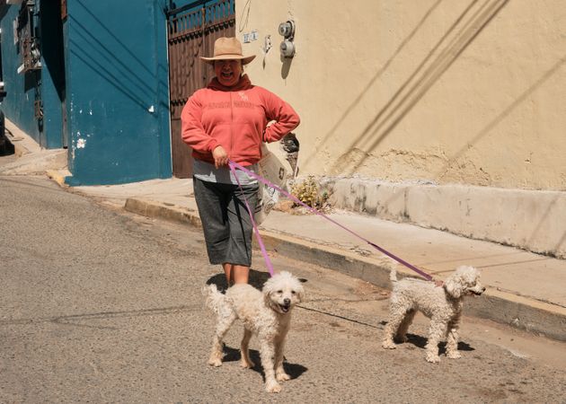Smiling woman walking two dogs