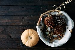 Set of pine cones and holm oak leaves in an esparto basket next to a yellow pumpkin on a wooden table