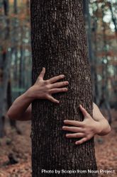Person hugging tree bxMyv0