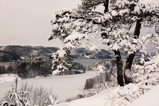Snowy peaceful mountain valley at shore