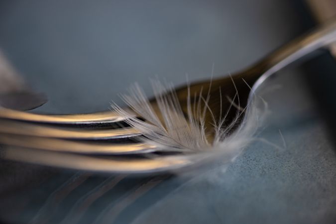 Close up of fork with feather for Easter decor