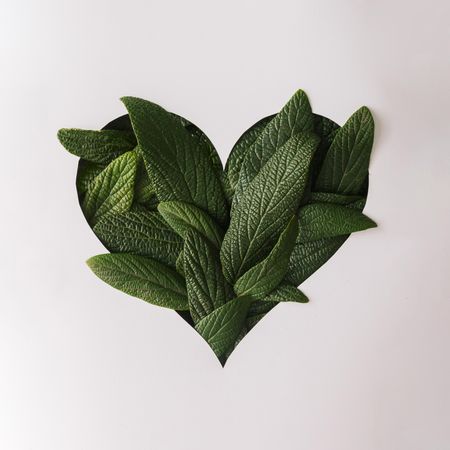 Heart shape cutout with green leaves