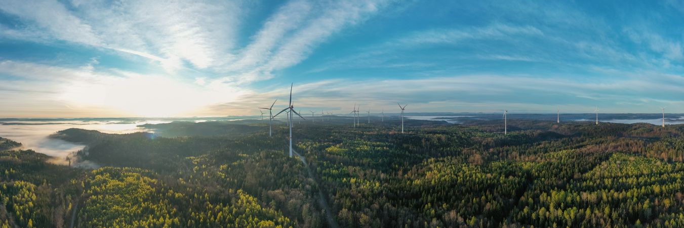 Drone panorama with wind turbines in a german forest at sunrise