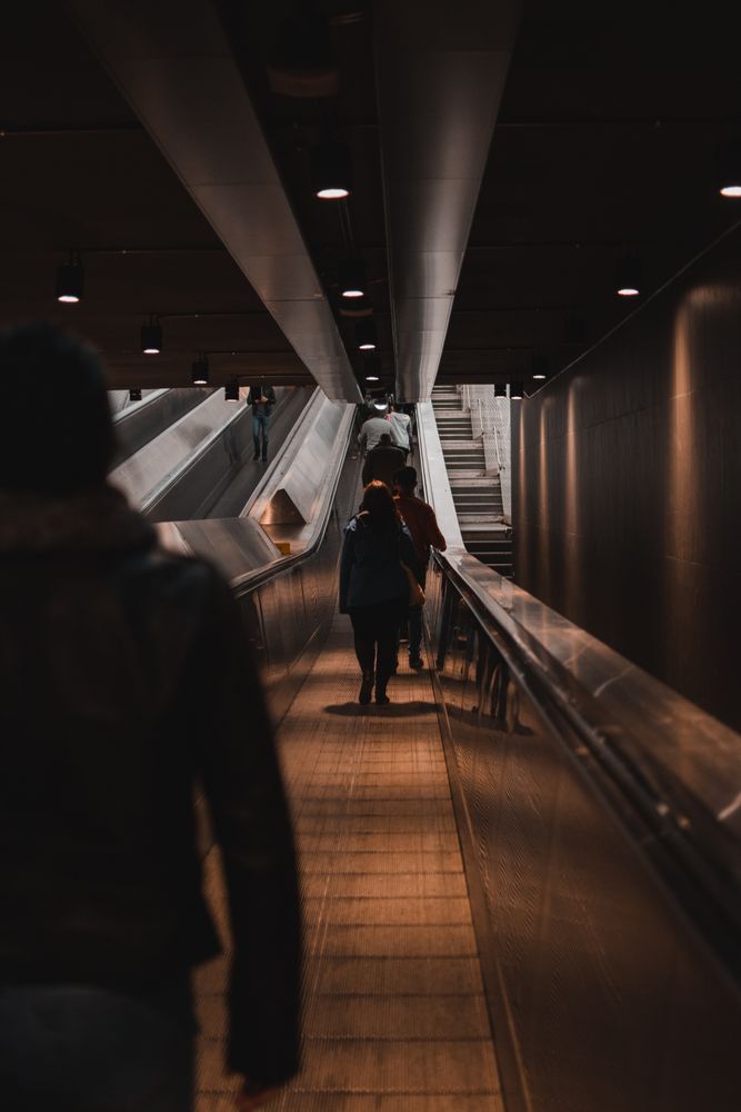 Back view of people standing on escalator