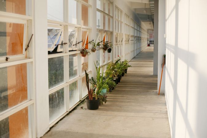 Long corridor with pots of plants