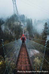 Back view of person in red jacket with backpack walking on a rope bridge 0WJBpb