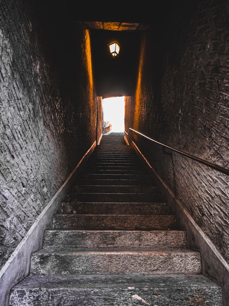 The stairs of the Passage des Degres-de-Poules, Geneva