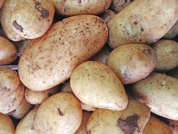 potato texture