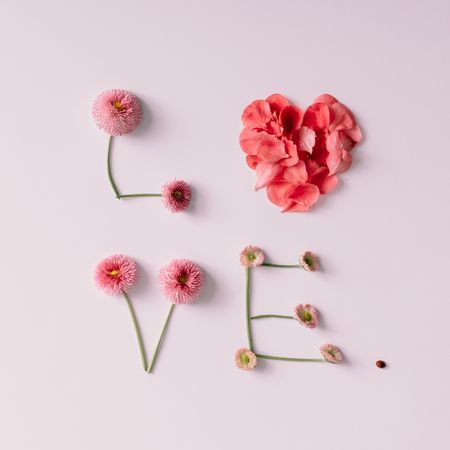 "Love" made of flowers and petals on pink background