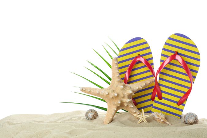Flip flops with starfish, seashells and palm leaf on clear sea sand isolated on studio background. Summer vacation