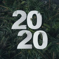 “2020” on pine branch background