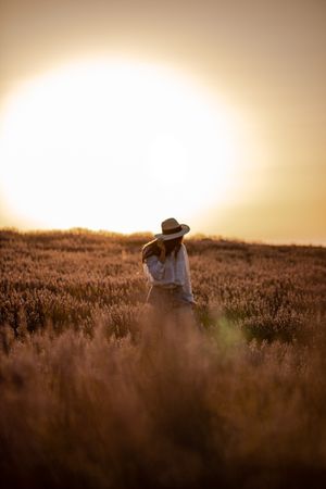 Woman walking in lavender field