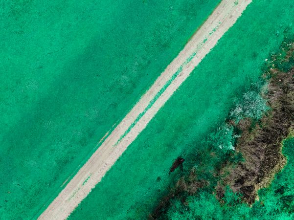 Aerial view of a minimal eco-friendly landscape on Earth Day