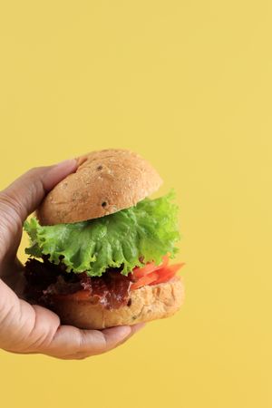 Hand Holding Mini Hamburger