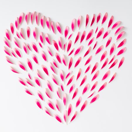 Heart made of pink flower petals