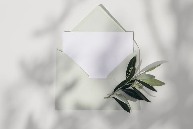 Closeup of empty greeting card, invitation mockup with mint green envelope and olive tree branch
