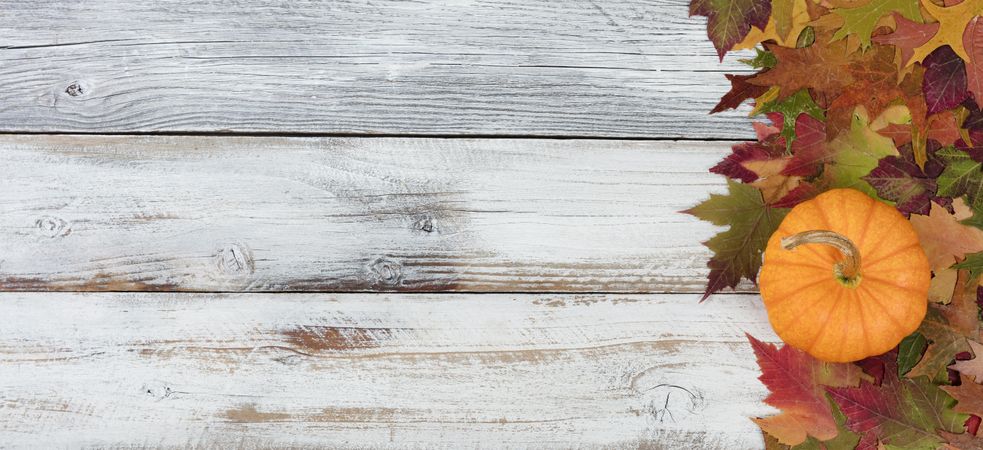 Real pumpkin and Autumn foliage on rustic wood with copy space
