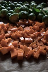 Braised brussels sprouts and pumpkin with quinoa