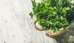 Top view of colander full of fresh green herbs, horizontal composition, copy space