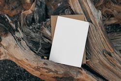 Summer, seashore blank greeting card mock up with craft envelope and drift wood