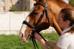 Woman attaching bridle to horse