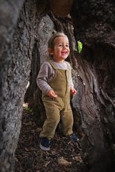 Cheerful little boy standing in thick tree trunk