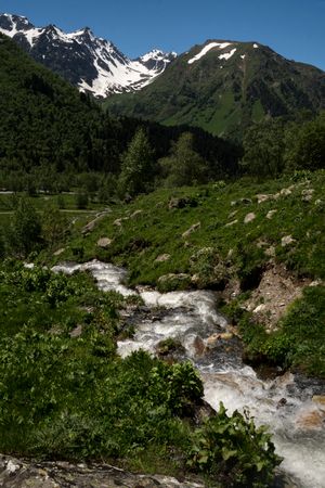 Mountain stream flowing through green hills