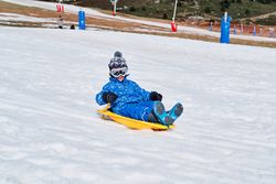 Boy controlling sleigh on snowy slope