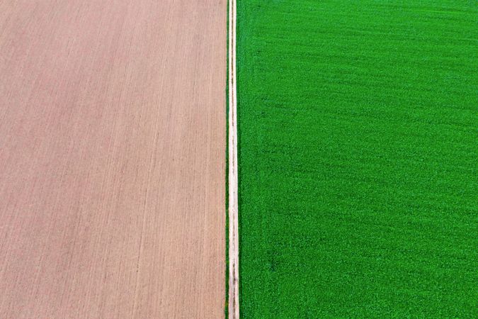 Agricultural fields drone aerial view, directly above