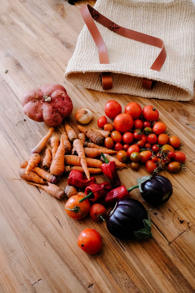Mesh bag with fresh market vegetables