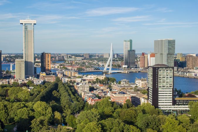 Aerial view of city buildings in Rotterdam, the Netherlands