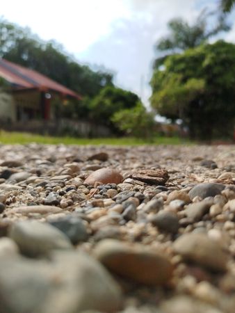 Low angle view of small brown rock on rough gravel road under bright daylight perspective