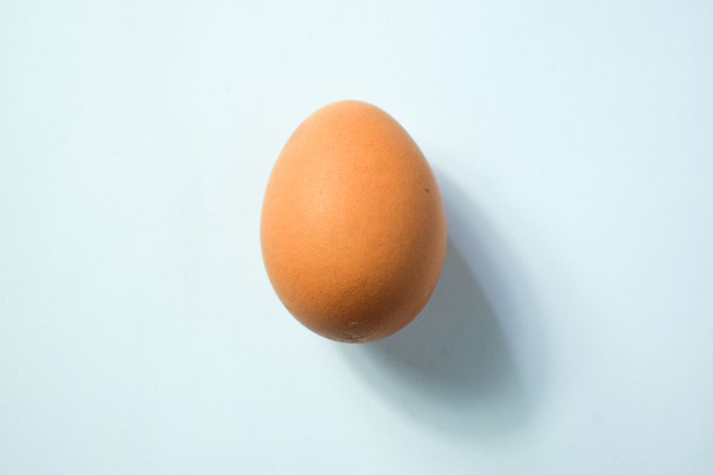 Brown egg on table