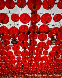 Red Chinese paper lanterns 4Zw3xb