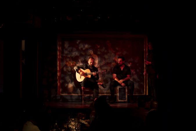 Musicians playing instruments on stage