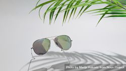 Aviator sunglasses with palm tree and shadow 4Meka4