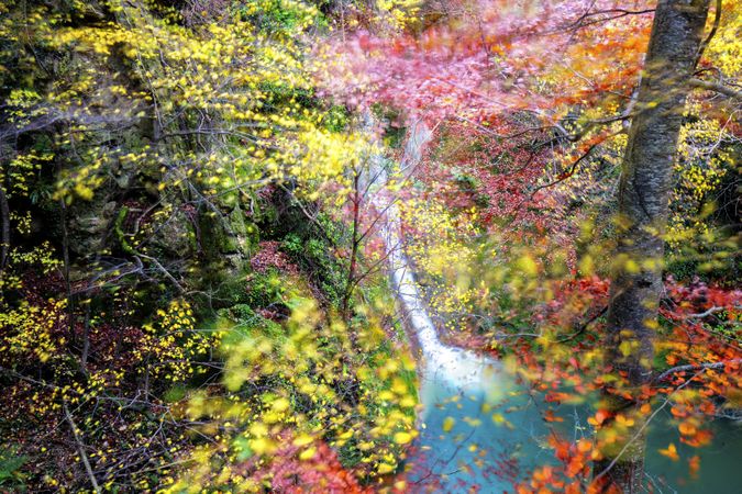 Amazing waterfalls of aquifer with bright vegetation