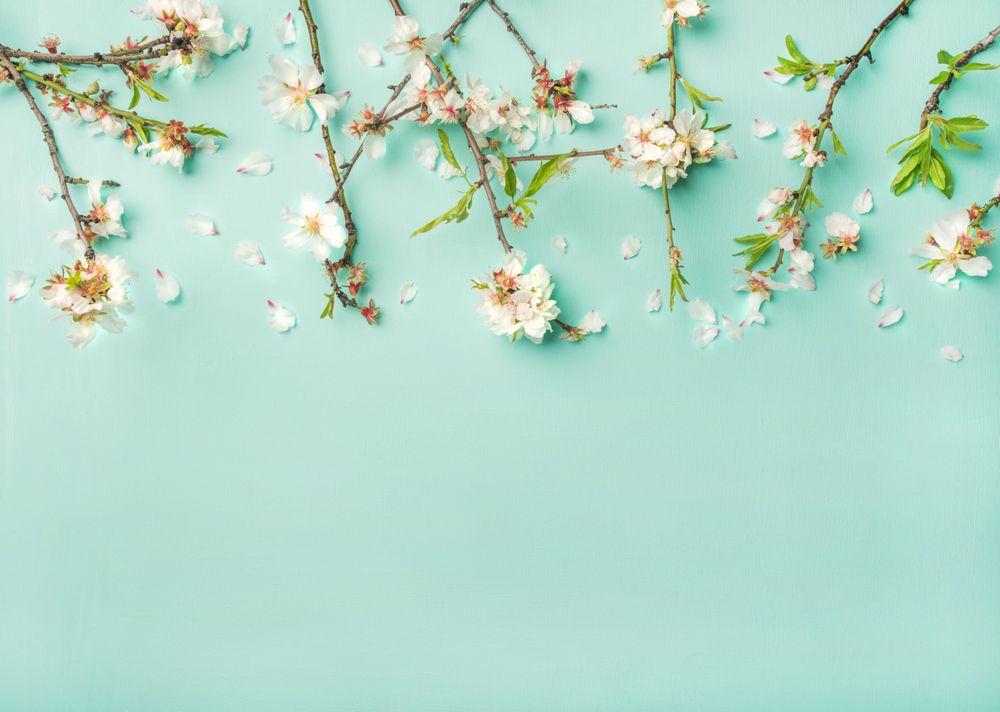 Spring Easter holiday wallpaper