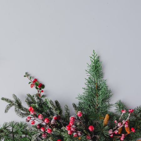 Christmas background made of branches and red berries on grey background