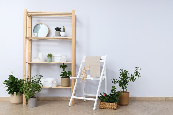 Cozy hobby - growing indoor plants at home