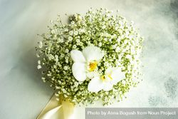 Gypsophila paniculata flowers in bridal bouquet concept bE9RO7