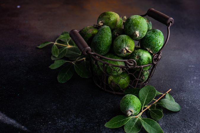 Wire fruit bowl of feijoa