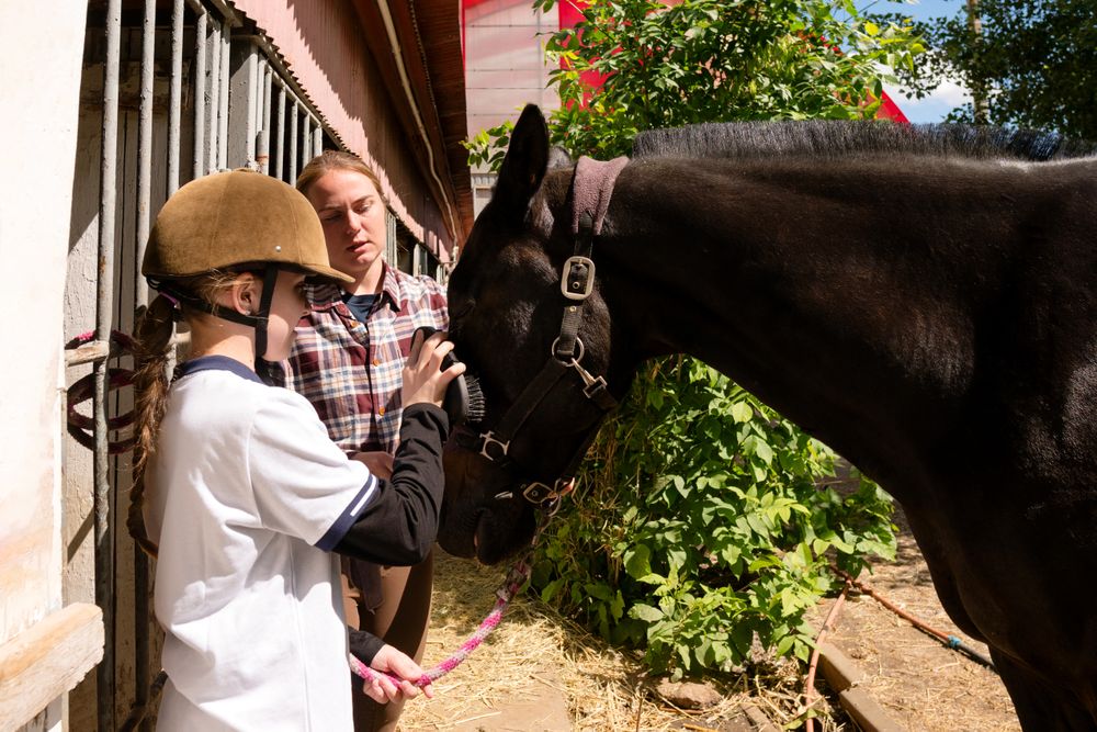 Child pats a horse under adult supervision