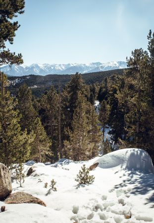 Picturesque view of peaks of mountains in snow and forest