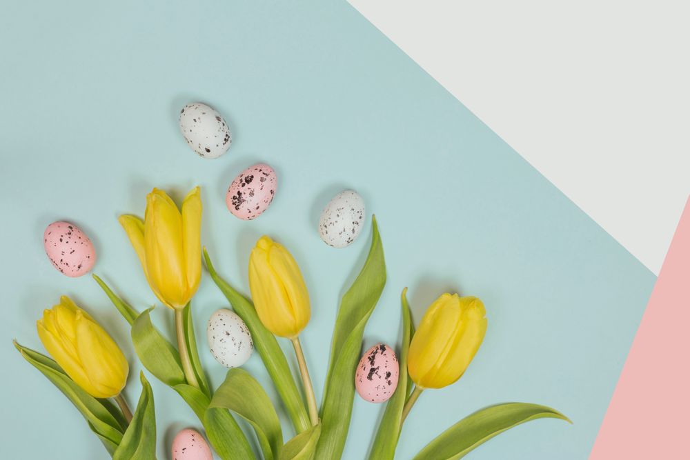 Fresh yellow flowers and easter eggs with green leaves