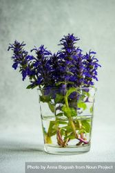 Side view of glass of blue flowers bxAGPn