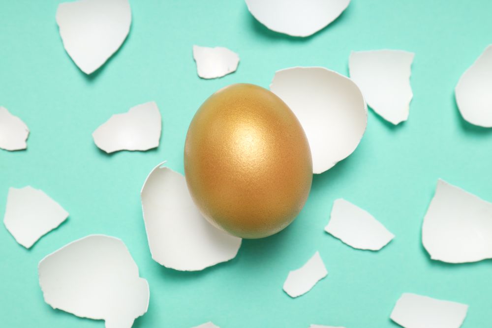 Golden egg, pension savings, investments and retirement