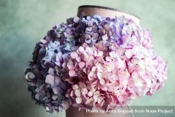 Fresh violet & pink summer floral gift 5RVZwO